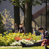 Student studying on a green lawn