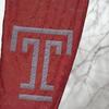 temple%20t%20snow.jpg