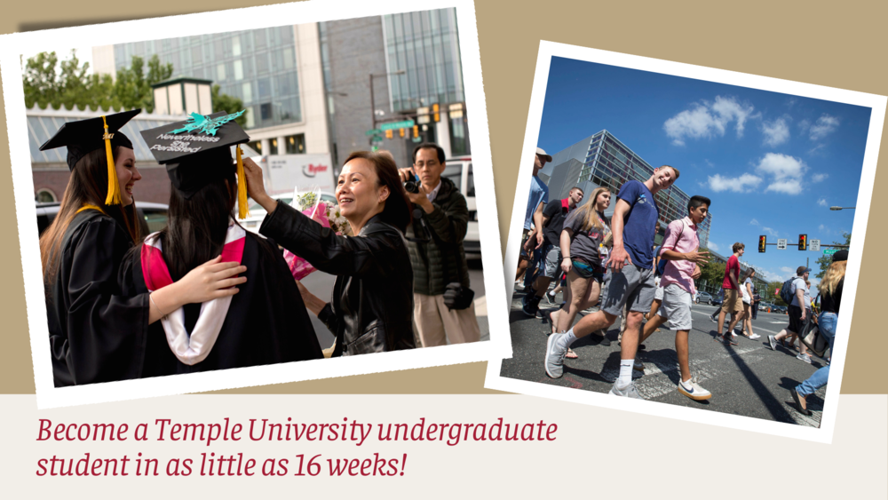 become a temple university student